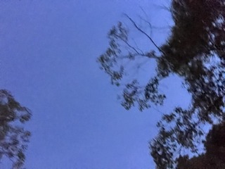 C14C5D13-7F13-4654-9E8D-4CA686E9AB69/L0/001