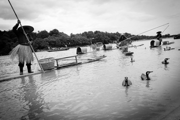 IMG_3196.jpg