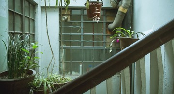 LEO_4205