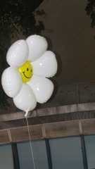 55446