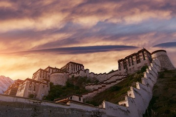 DSC_3206_f