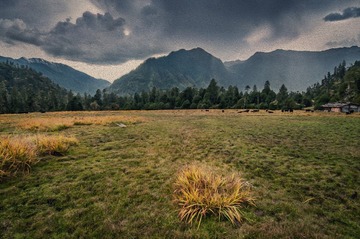 DSC_3902c1
