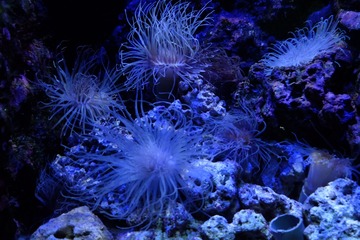 1D516FE5-4D8D-4E31-BD51-40FA0880D74A/L0/001