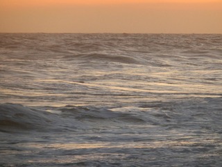 26E31BCF-D78A-4FD8-A4D6-E28077C7DA7B/L0/001