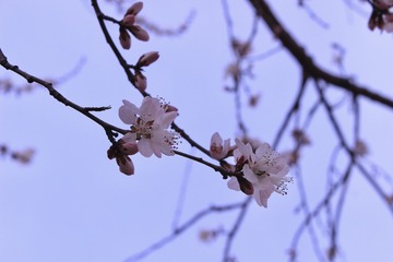 B9D69E52-F65F-42E2-9195-4E64121627D7/L0/001