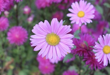 76913812-EB2D-4F39-99DB-3C2F6EC0B902/L0/001
