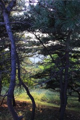 8D5B6E3D-F978-4518-89D8-A3B1476F9ED2/L0/001