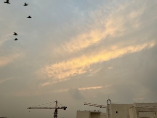 ACF931A1-2C8D-4B7C-A5F5-96C77F5E7202/L0/001
