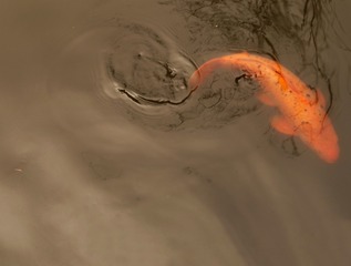 575202