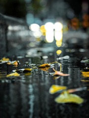686672A4-969D-42BC-A365-1FE0BD00064D/L0/001