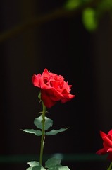 2207224