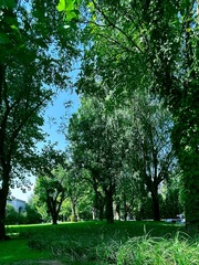 72A74EC8-BD16-4680-9C4D-163E8825002C/L0/001