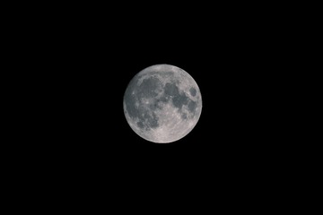 F202D417-FC07-426C-A8E9-29E5E85996D8/L0/001