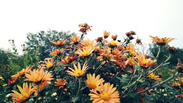 4624B6DB-F38D-4F19-9B31-DD24A00F5BC4/L0/001