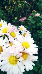 F7CE3F14-F6EB-4825-B230-E5BB87BF7646/L0/001