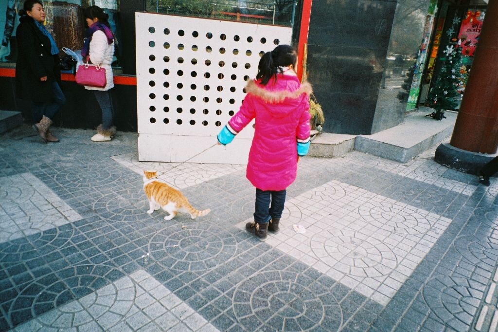 第一次见到溜猫的<br />
