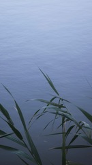 4D9A3673-FFC0-4EB6-AFB5-1C6F1EE3A2A3/L0/001