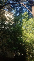 D1344001-0AE6-40DF-AAB4-CD9794BF9C3E/L0/001