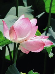 6D1973B0-20D7-4275-A270-B10DB33E96A4/L0/001
