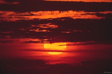 81FA7331-BD37-41B3-ABEA-5D063E1053FE/L0/001