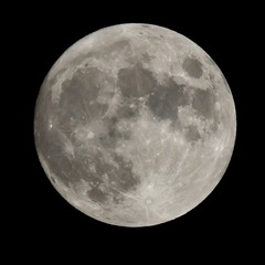 AA0E17D3-096F-44DE-8F20-4DBB20634922/L0/001