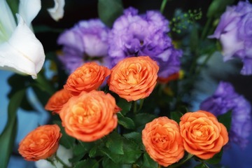 1AEEE02B-AE3D-48AD-B0F3-9473F8E81E83/L0/001