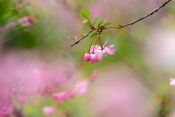 E7D2E1F8-E9BF-43AB-AB25-8BBEC60EC5E2/L0/001