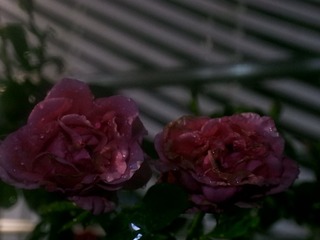866BF89E-7925-4AEA-9241-A92B9E1B8BC8/L0/001