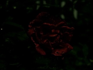 CF8AB0BA-A8F3-4DD6-BEC6-1A8C95CF0293/L0/001