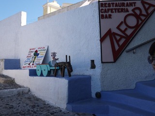 P1010068.JPG