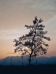 29022