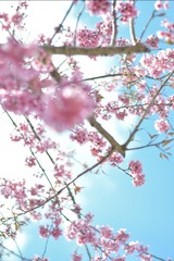 86B7F1FE-1012-468A-A74B-6373A341EF9F/L0/001