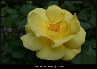 0099