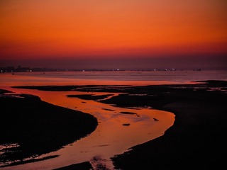 41CF32A9-07E8-4077-89AE-D2D82EFD8C59/L0/001
