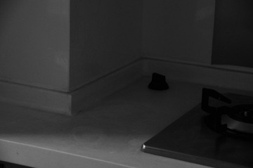 DSC_1239.JPG