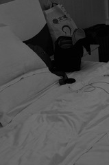 DSC_1243.JPG