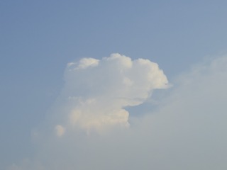 39731B6B-DF43-4573-B54A-78322328149D/L0/001