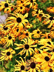 FB093466-C080-4877-A3F6-D2A6360EFBF4/L0/001