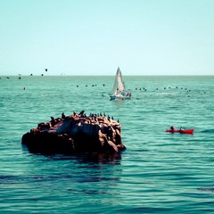 DPP_0103.jpg