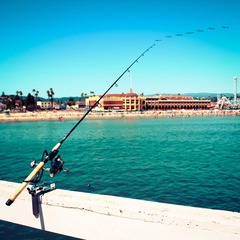 DPP_0079.jpg