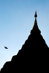 DSCF6821.jpg