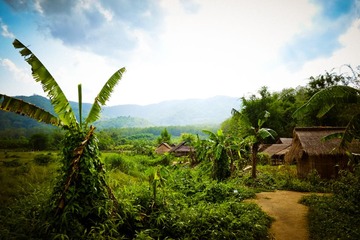 DSCF7351.jpg