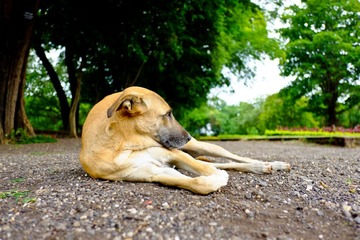 DSCF8345-2.jpg
