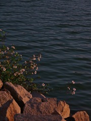 32BE9148-F509-430C-9705-563BAAB65330/L0/001