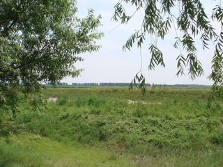 DSC04117.JPG