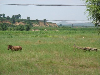 DSC04118.JPG