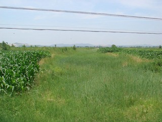 DSC04112.JPG