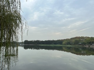 ACBB38BB-572C-44E2-ABC3-B5D7538B6CA0/L0/001