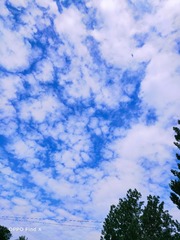290A4FDC-9F18-47C7-8710-AEBD67A4E0D7/L0/001