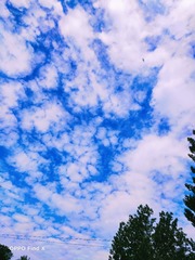 290A4FDC-9F18-47C7-8710-AEBD67A4E0D7/L0/001